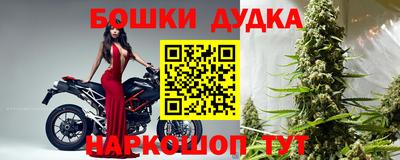 ешки Новодвинск