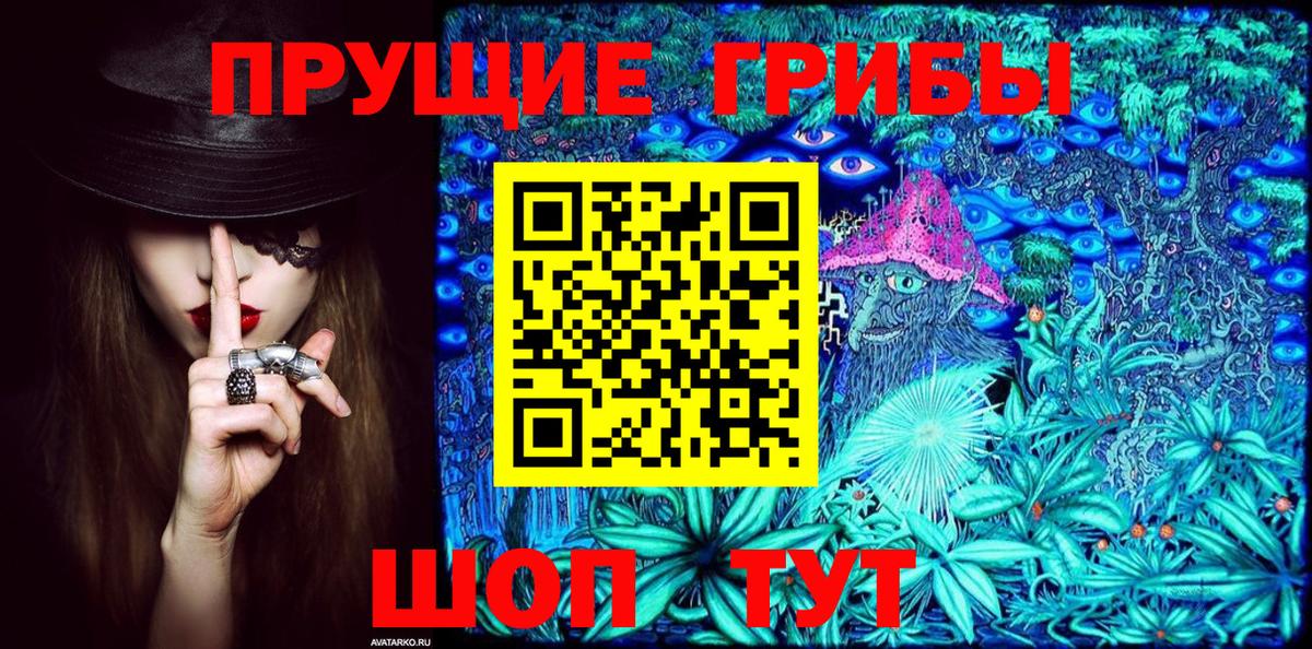 где купить   Вход с VPN  Троицк  Псилоцибиновые грибы Psilocybine cubensis 